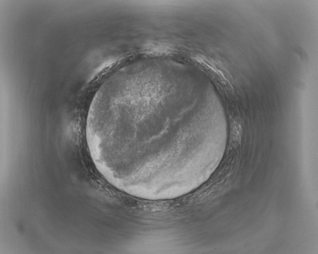 X0000115551254200912041025