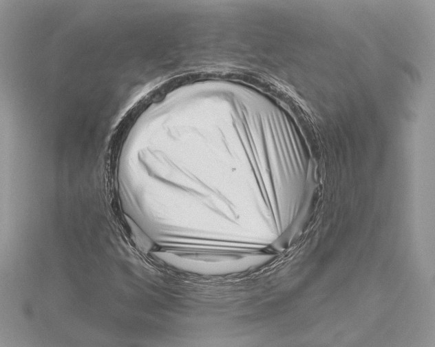 X0000115551256200912041025