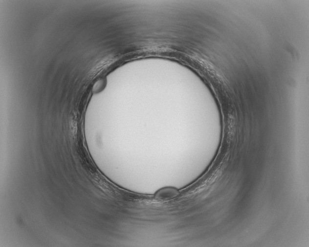 X0000115551257200912041025