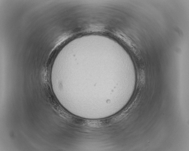 X0000115551258200912041025