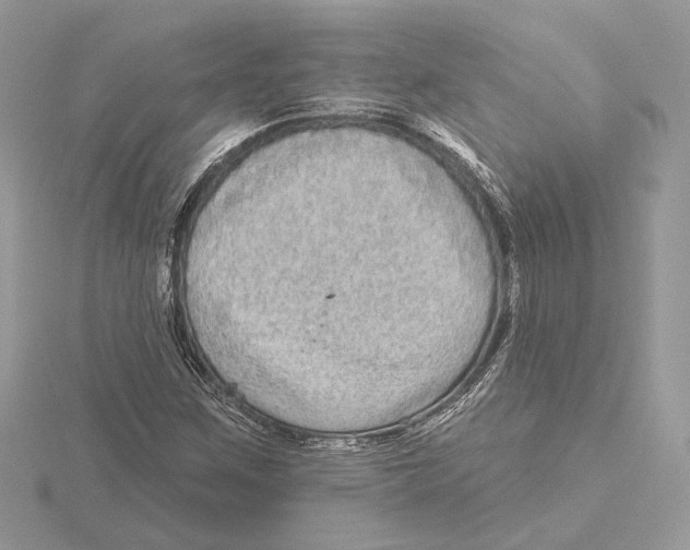 X0000115551259200912041025