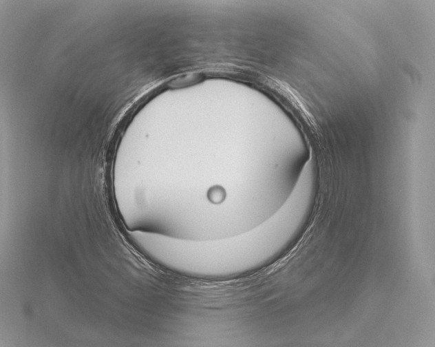 X0000115551260200912041025