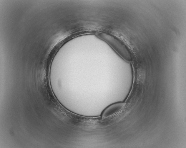 X0000115551261200912041025