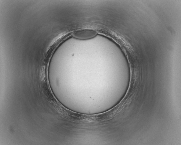 X0000115551262200912041025