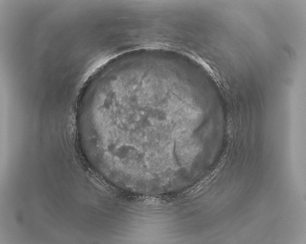 X0000115551263200912041025