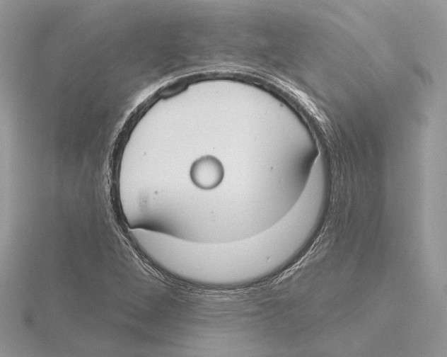 X0000115551264200912041025