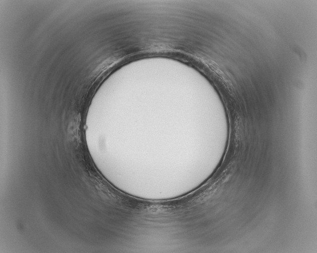 X0000115551265200912041025