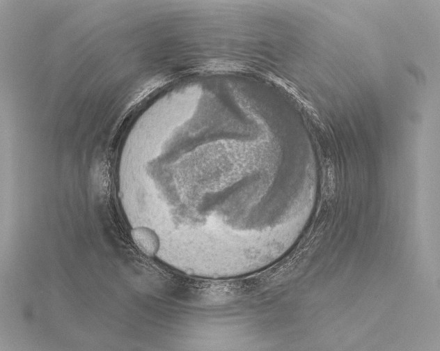 X0000115551266200912041025