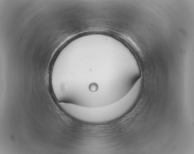 X0000115551268200912041025