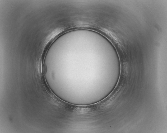 X0000115551269200912041025