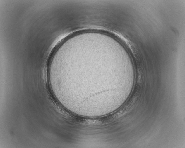 X0000115551271200912041025