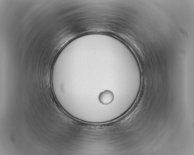 X0000115551273200912041025