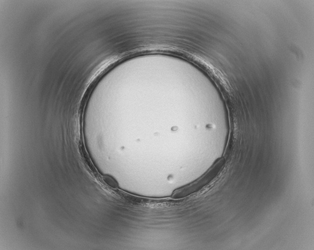 X0000115551274200912041025