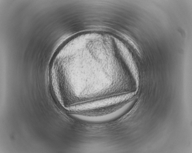 X0000115551275200912041025