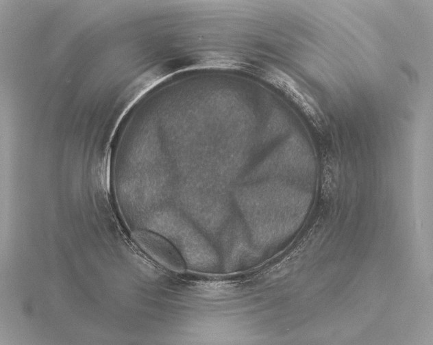 X0000115551276200912041025