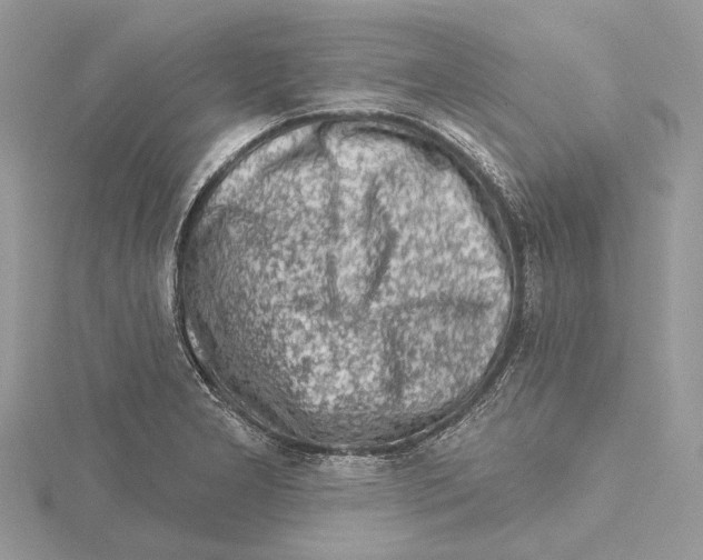 X0000115551277200912041025