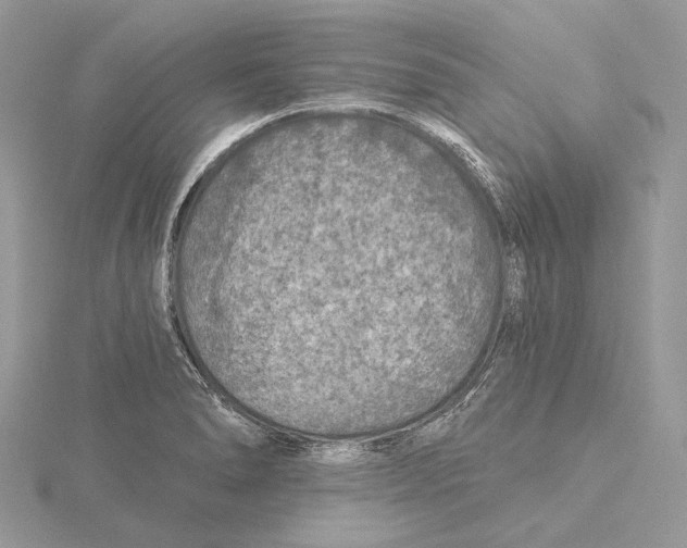 X0000115551278200912041024