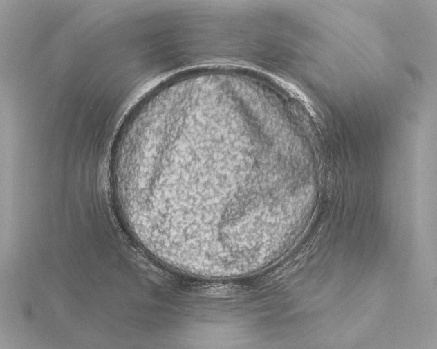 X0000115551279200912041024