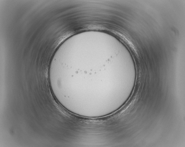 X0000115551281200912041024