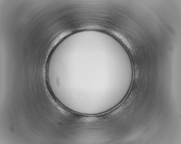 X0000115551282200912041024