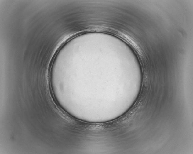 X0000115551283200912041024