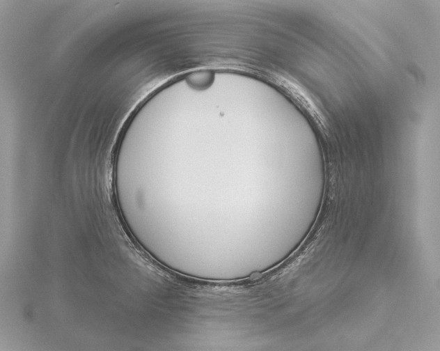 X0000115551284200912041024