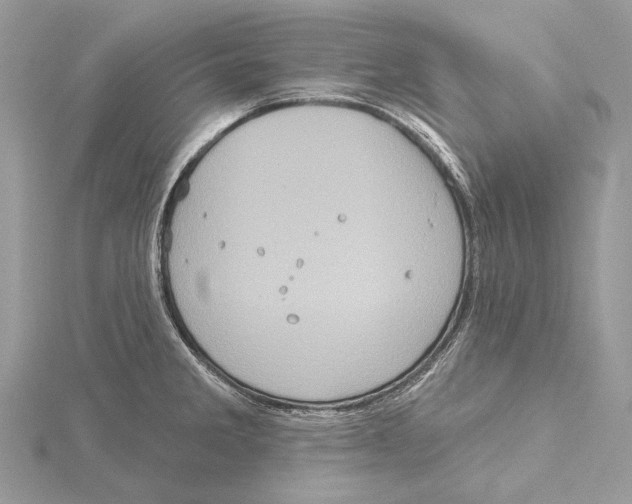 X0000115551285200912041024