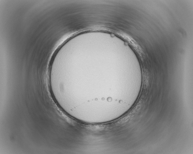 X0000115551286200912041024