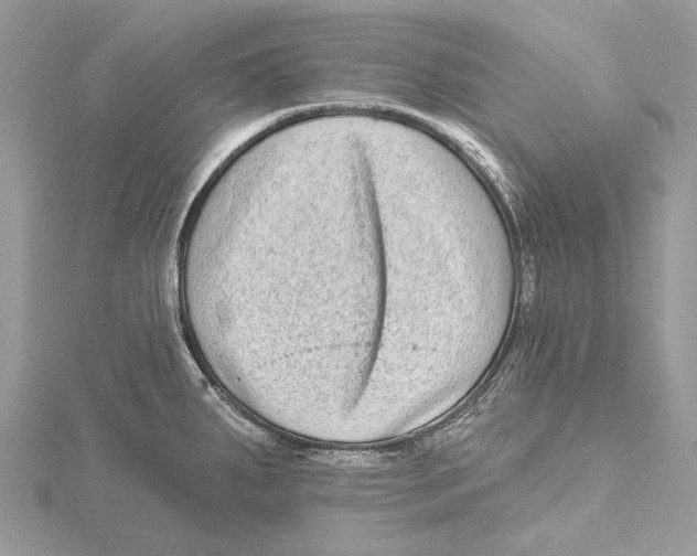 X0000115551287200912041024