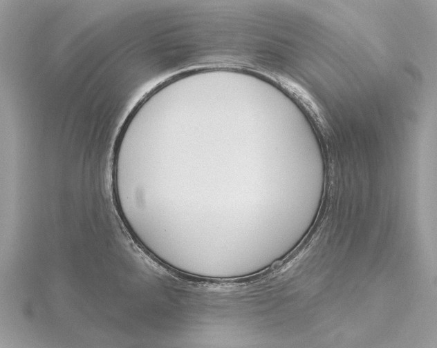 X0000115551288200912041024