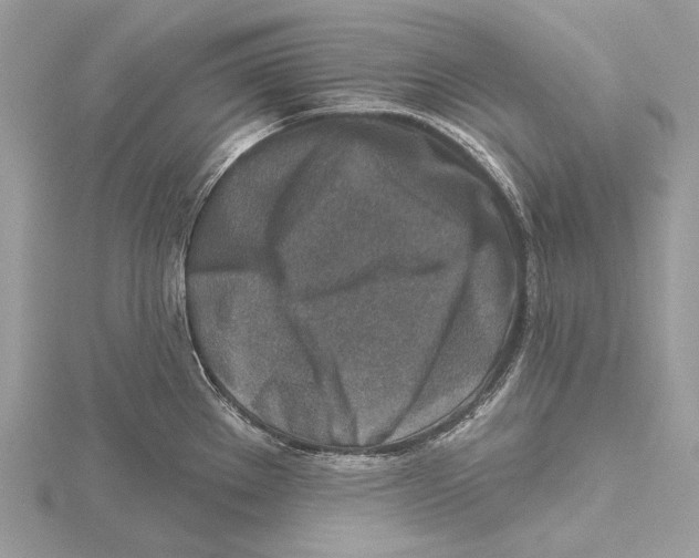 X0000115551289200912041024