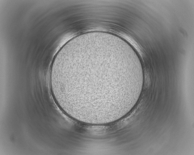 X0000115551290200912041024