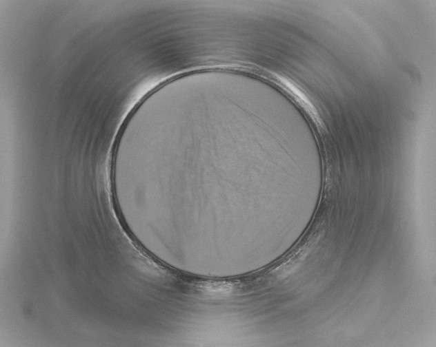 X0000115551291200912041024