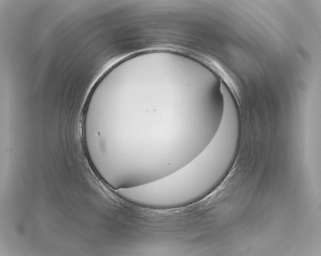 X0000115551292200912041024