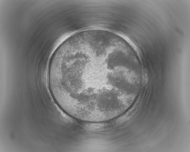 X0000115551294200912041024