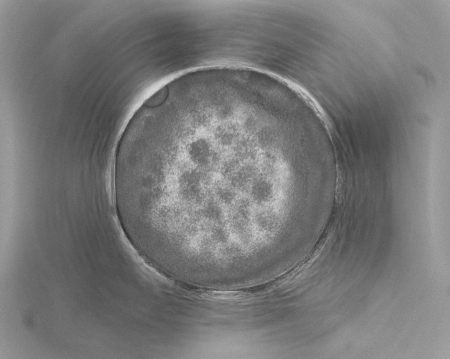 X0000115551295200912041024