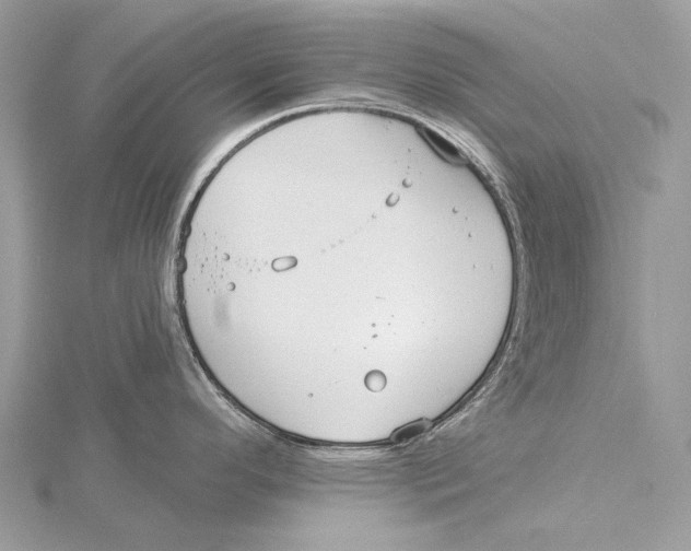 X0000115551296200912041024