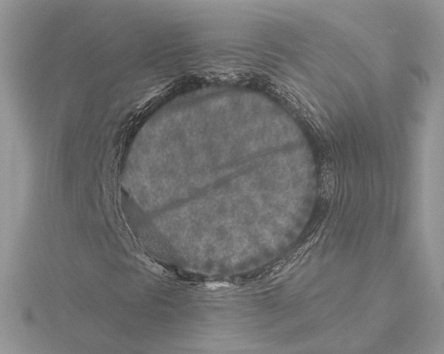 X0000115551297200912041023