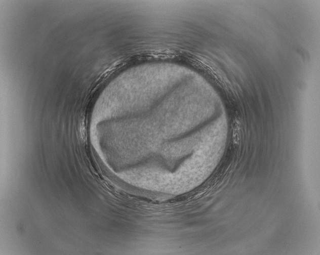 X0000115551298200912041023