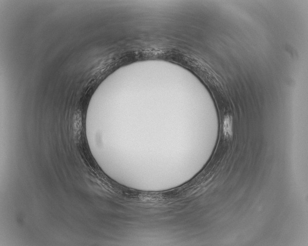 X0000115551299200912041024