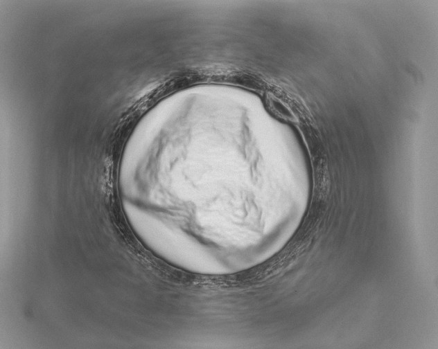 X0000115551301200912041024