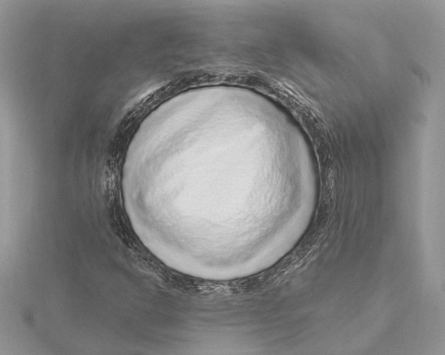 X0000115551302200912041024