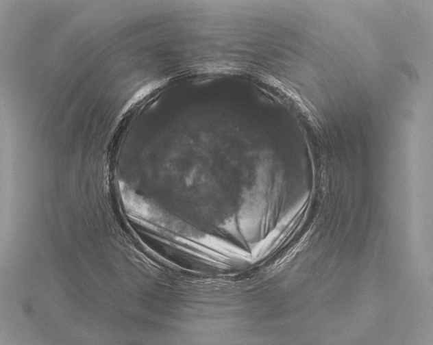 X0000115551306200912041024