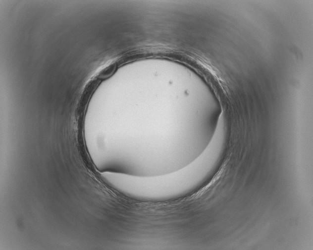 X0000115551309200912041024