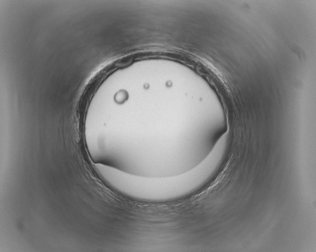 X0000115551310200912041024