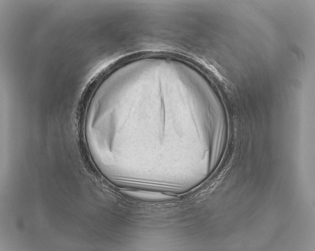 X0000115551311200912041024