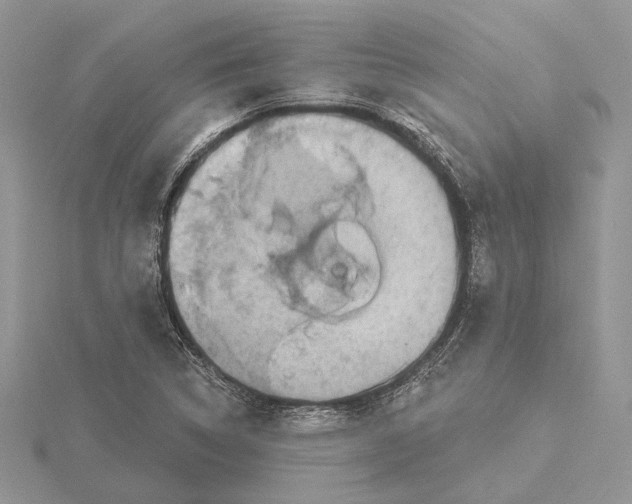 X0000115551314200912041024