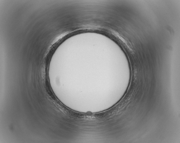 X0000115551315200912041024