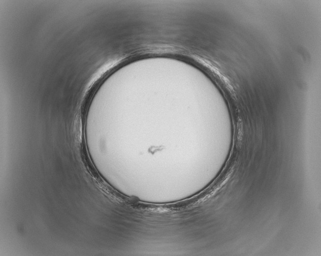 X0000115551317200912041024