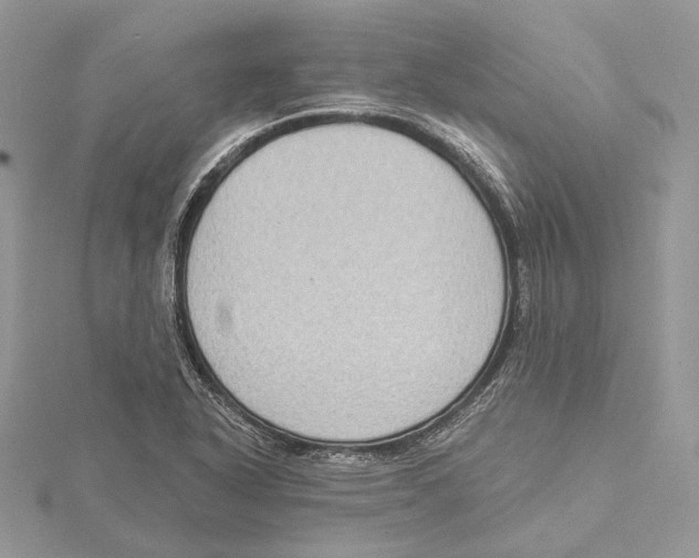 X0000115551318200912041024